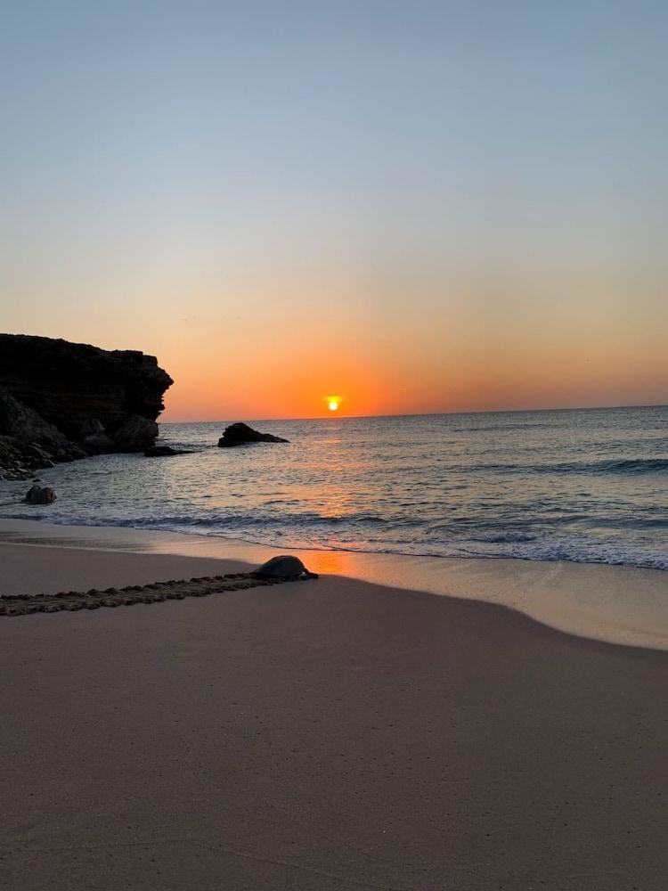 Ras Al Jinz Turtle Reserve Al Hadd Εξωτερικό φωτογραφία