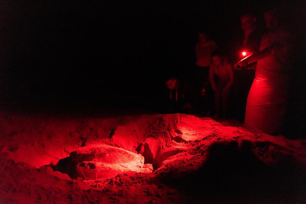 Ras Al Jinz Turtle Reserve Al Hadd Εξωτερικό φωτογραφία