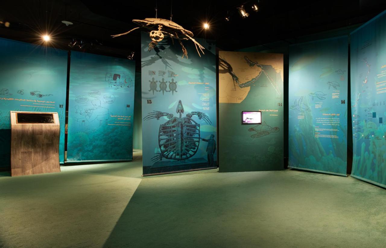 Ras Al Jinz Turtle Reserve Al Hadd Εξωτερικό φωτογραφία